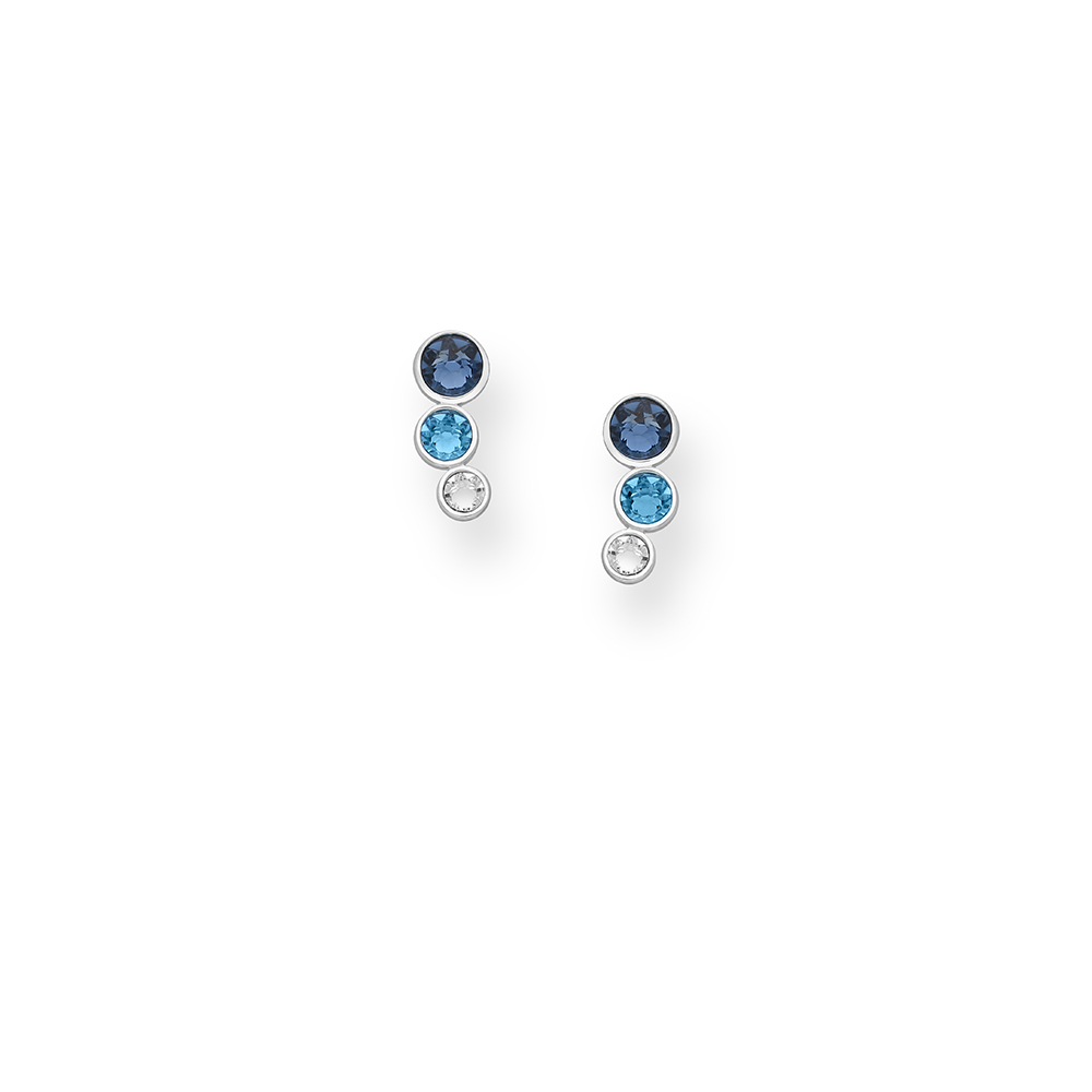 Circle Drop Crystal Earrings